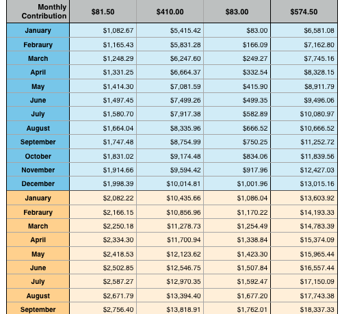 Mount Financial plans & Making an insurance policy (easy program contained!)